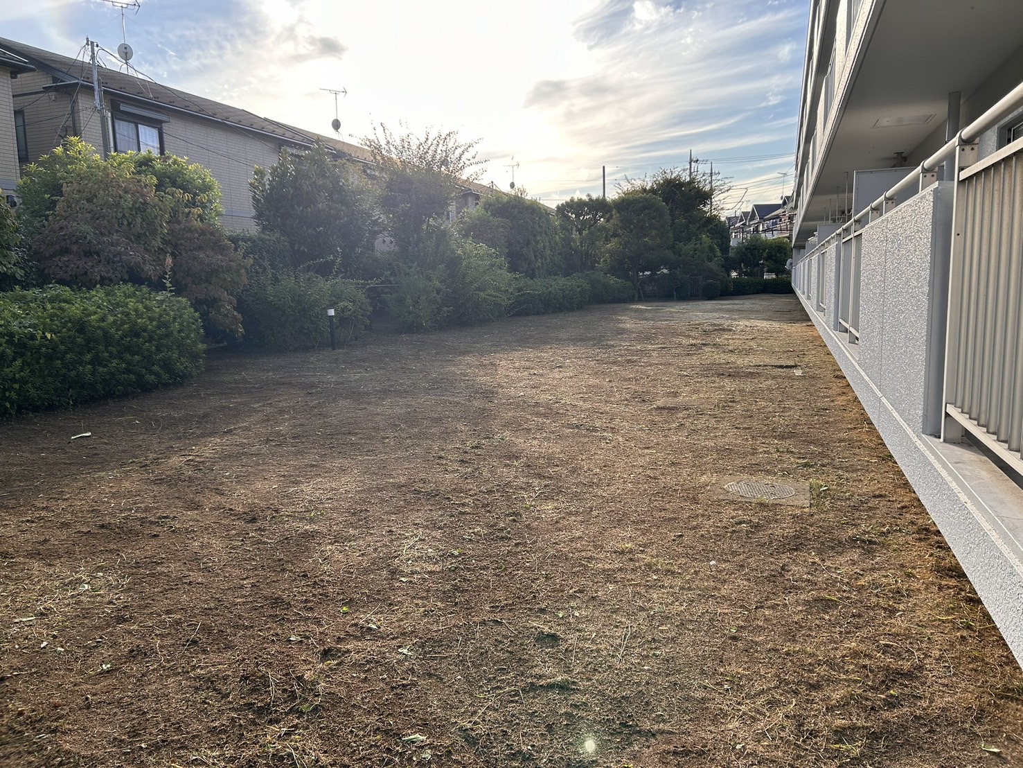 練馬区にて　草刈り🍃